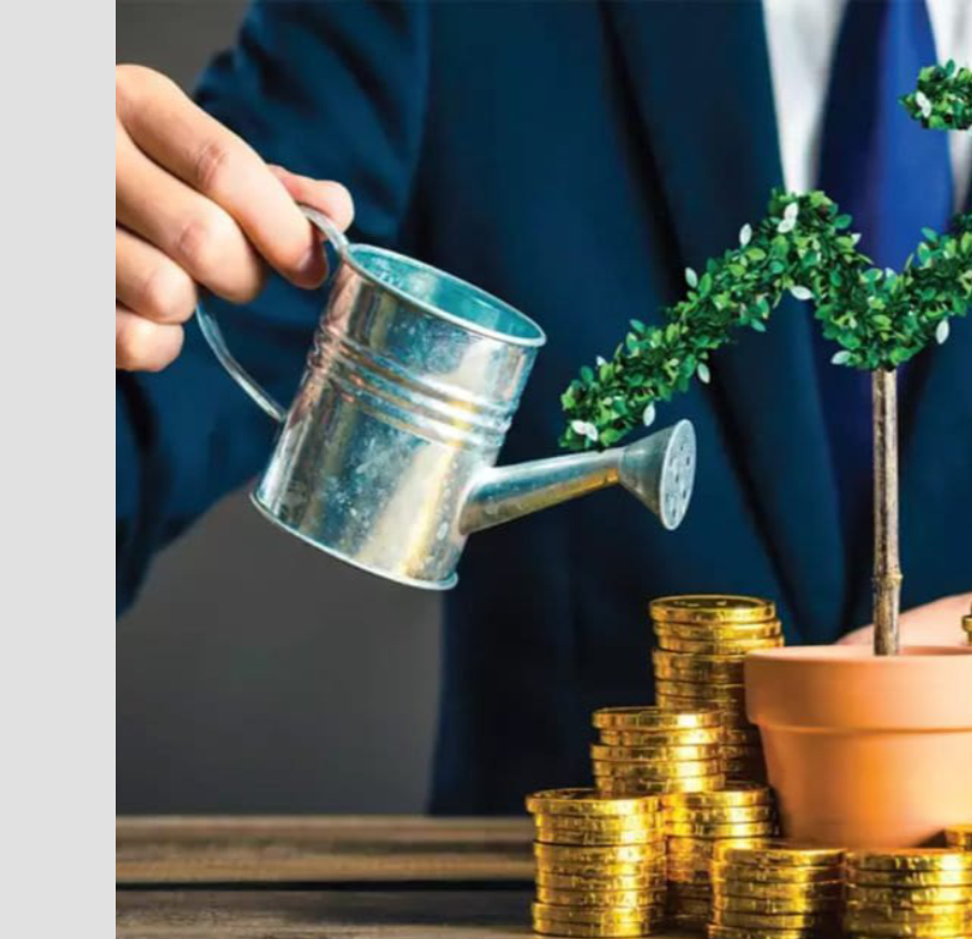 wealth-management